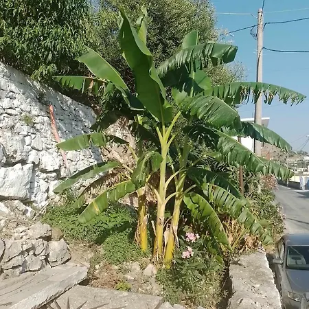 Vogklis House * Qeparo