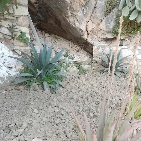 Vogklis House 3*